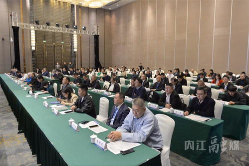 共创未来 第十届海峡两岸大千文化艺术交流活动暨2024两岸青年创新创业交流活动掠影