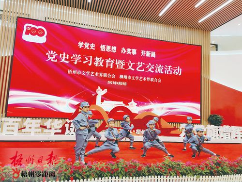 学党史促交流