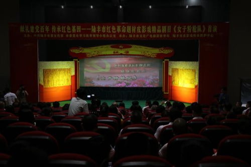 七大精品献礼建党100周年 陆丰开展系列文艺活动推动群众文化活动蓬勃发展
